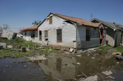 St. Louis Storm Restoration